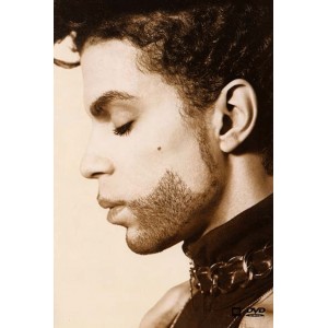 Prince - The Hits Collection ( DVD Vidéo )