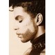 Prince - The Hits Collection ( DVD Vidéo )