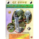 Dao Yin Fa Shen Gong